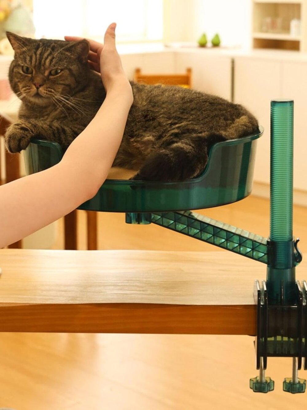 BRAND NEW Cat Bed Desk with Mat, Cat Hammock - different colours